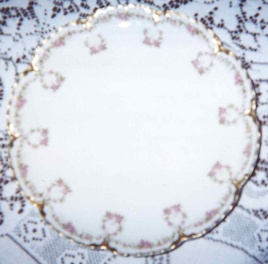 Schleiger 1142-1 Fruit/Dessert (Sauce) Bowl by Haviland-1