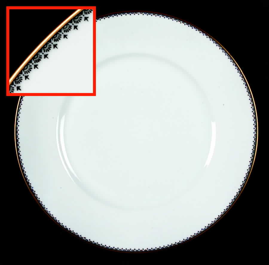 HUT1316 Dinner Plate by Hutschenreuther-1