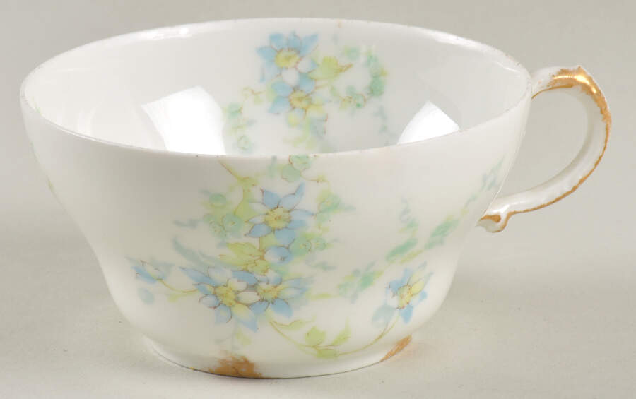 Schleiger 1014-4 Flat Cup by Haviland-1