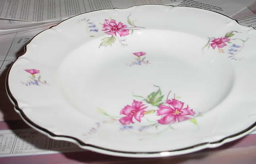 HUT1319 Rim Soup Bowl by Hutschenreuther-1