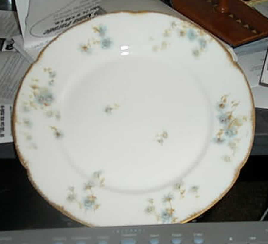 H2792 Dinner Plate by Haviland-1