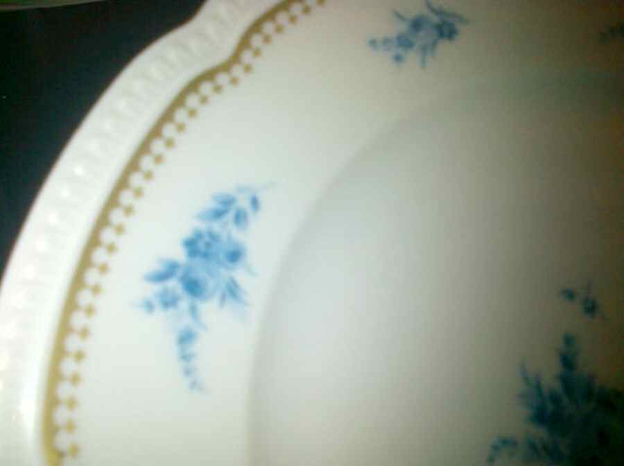 HC820 Dinner Plate by Heinrich - H&C-1