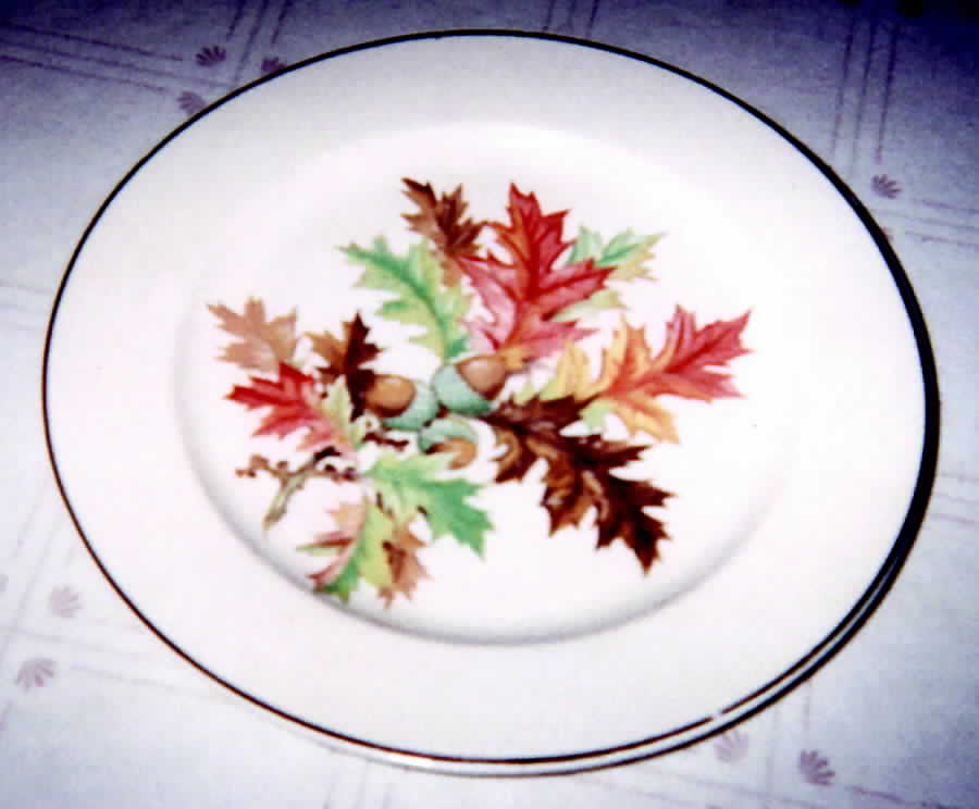 HLC2354 Dinner Plate by Homer Laughlin -1