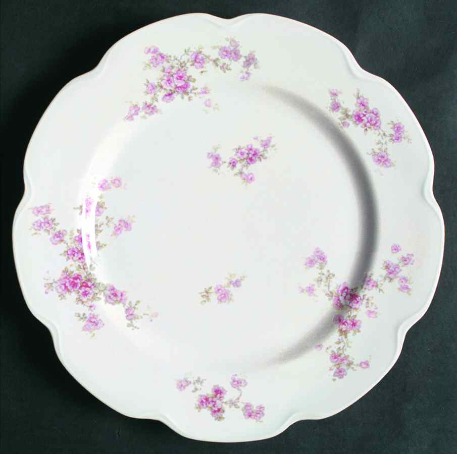 Schleiger 67-1 Dinner Plate by Haviland-1