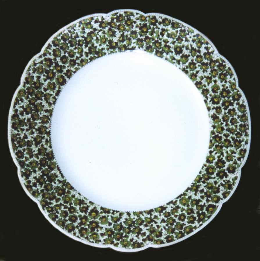 H2797 Dinner Plate by Haviland-1