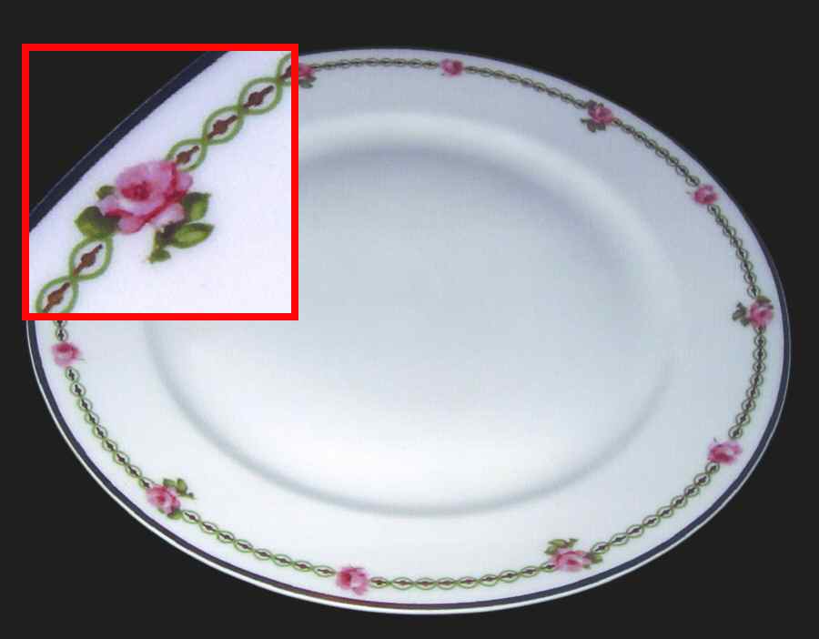 H2798 Dinner Plate by Haviland-1