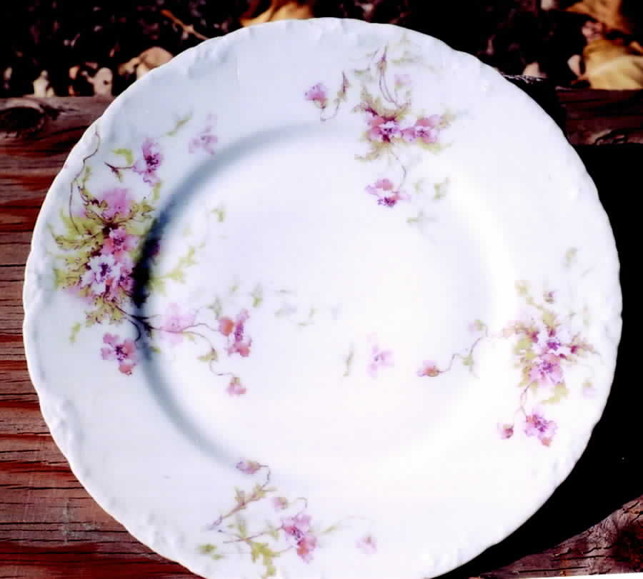 Schleiger 147E Dinner Plate by Haviland-1