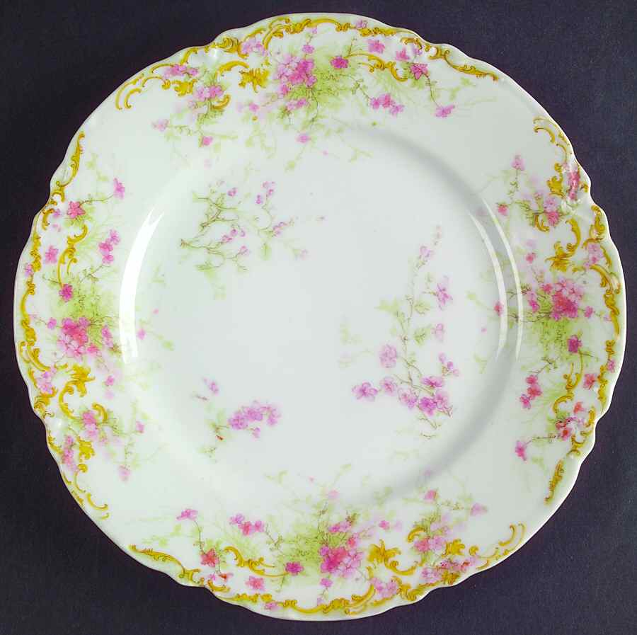 H2812 Salad Plate by Haviland-1