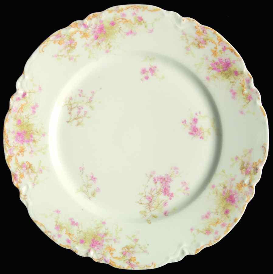 H2812 Dinner Plate by Haviland-1