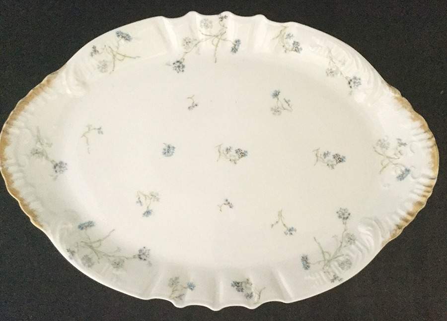 H2813 18" Oval Serving Platter by Haviland-1