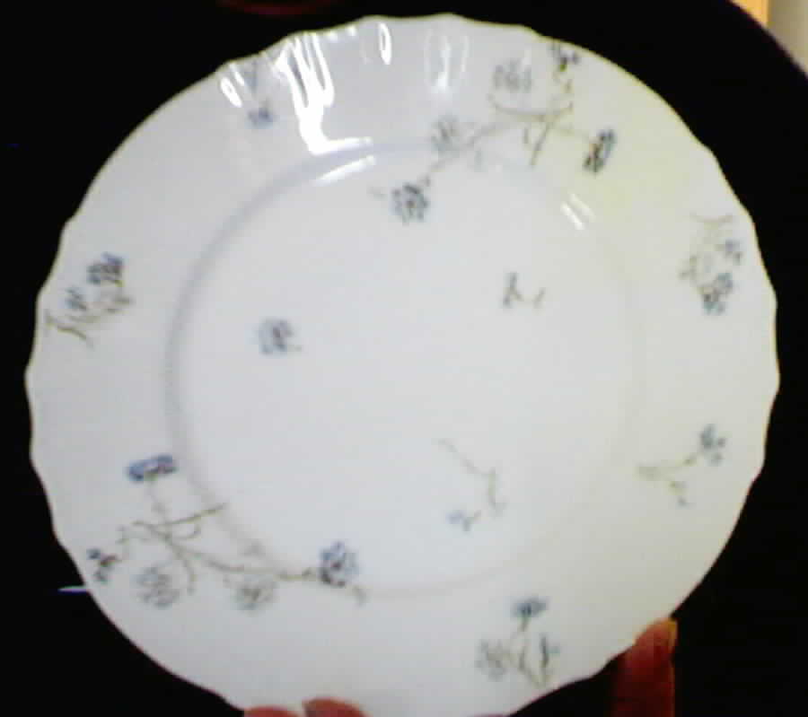 H2813 Dinner Plate by Haviland-1