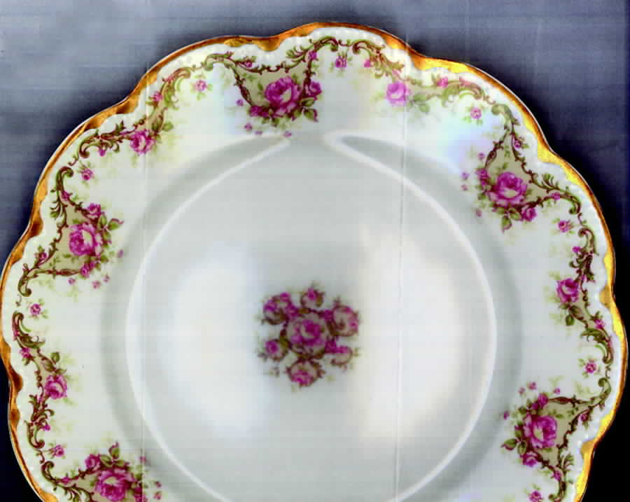 Schleiger 484-1 Salad Plate by Haviland-1