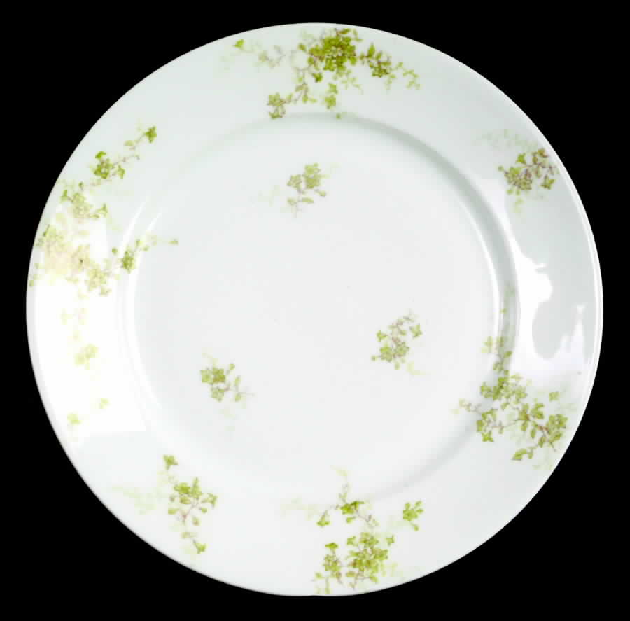 Schleiger 834-3 Dinner Plate by Haviland-1