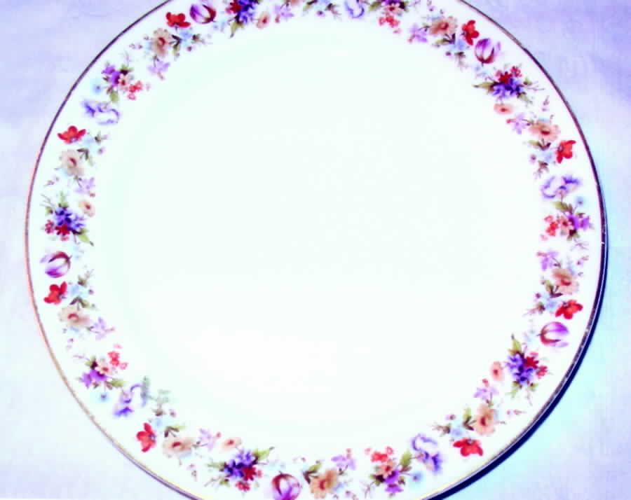 H2819 Dinner Plate by Haviland-1