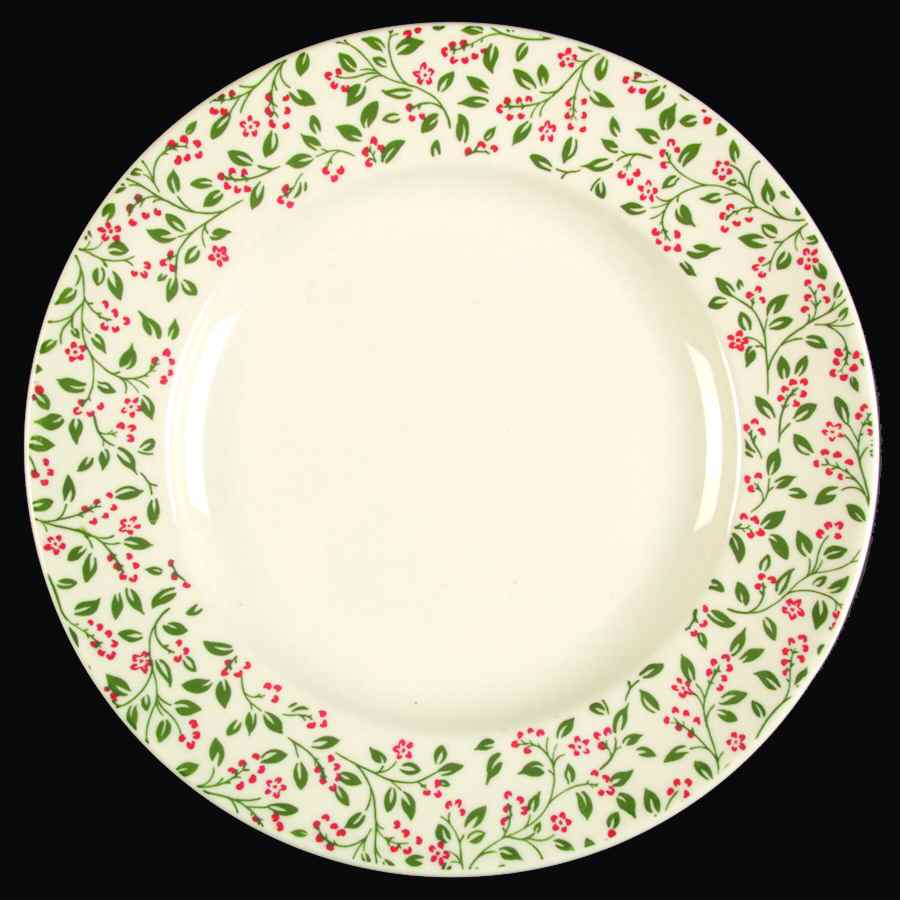 HLC3498 Dinner Plate by Homer Laughlin -1