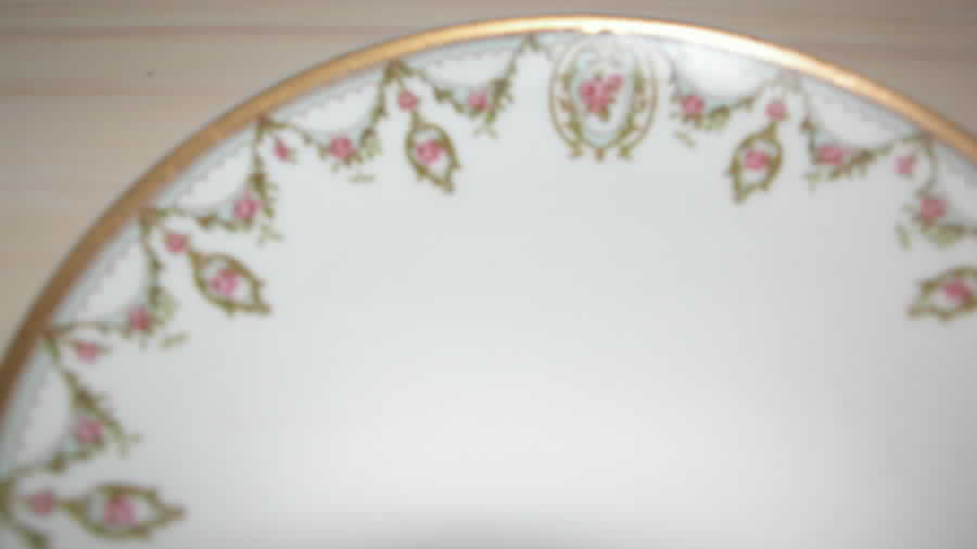 Schleiger 1202-1 Dessert/Pie Plate by Haviland-1
