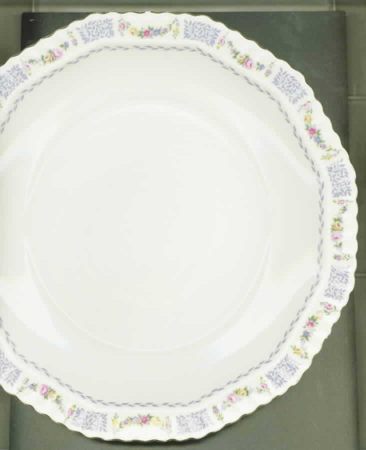 Hcz84 Dinner Plate by Haas-Czjzek Coronado-1