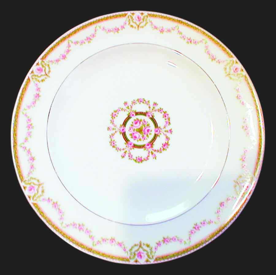Schleiger 1073-1 Dinner Plate by Haviland-1