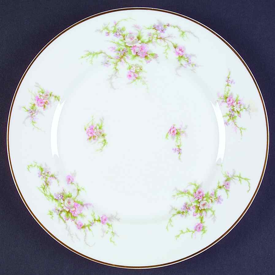 Schleiger 154-1 Dinner Plate by Haviland-1
