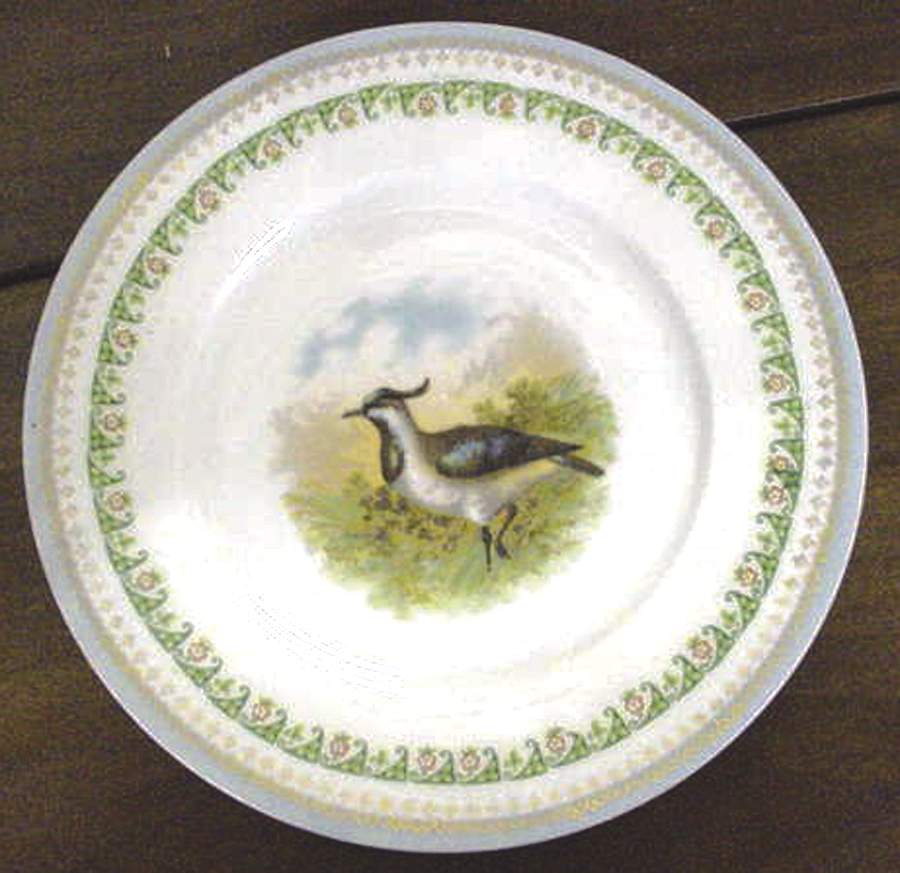 Hbu7 Dinner Plate by Hub China-1