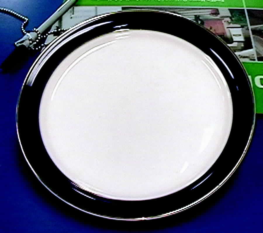 Ho1 Bread & Butter Plate by Hoya-1