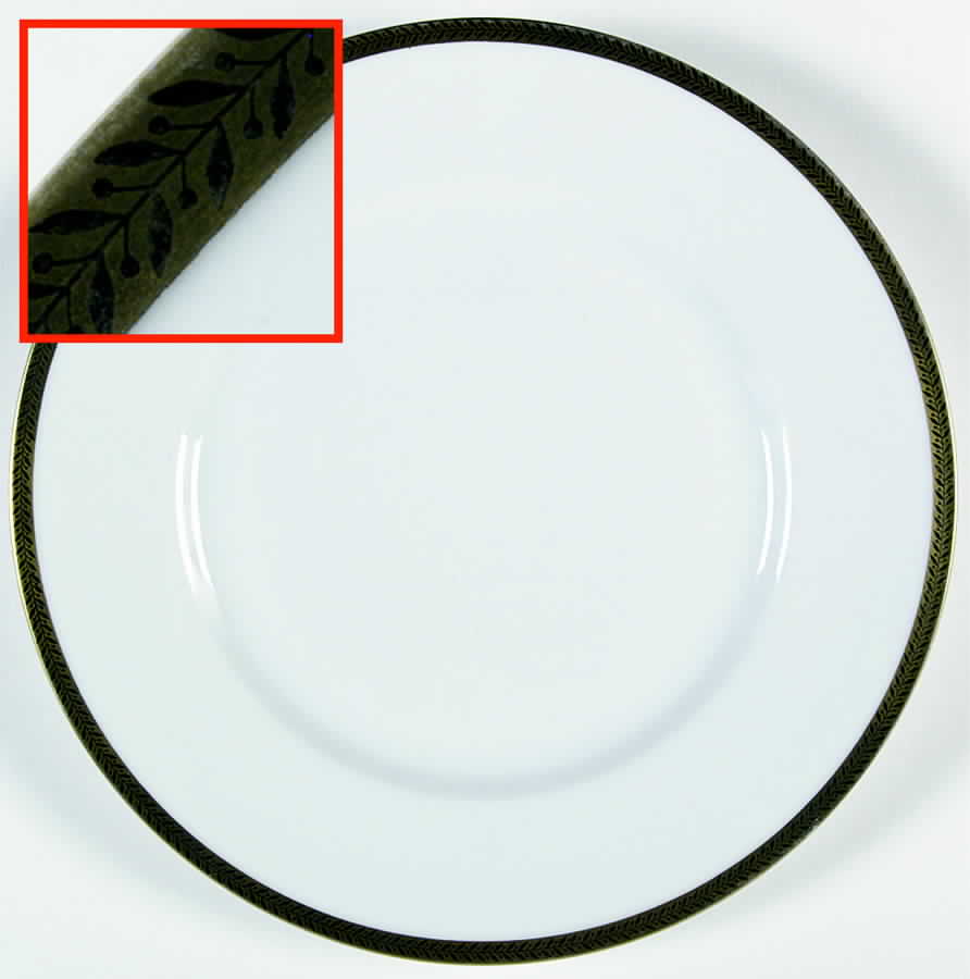 15345 Dinner Plate by Hutschenreuther-1