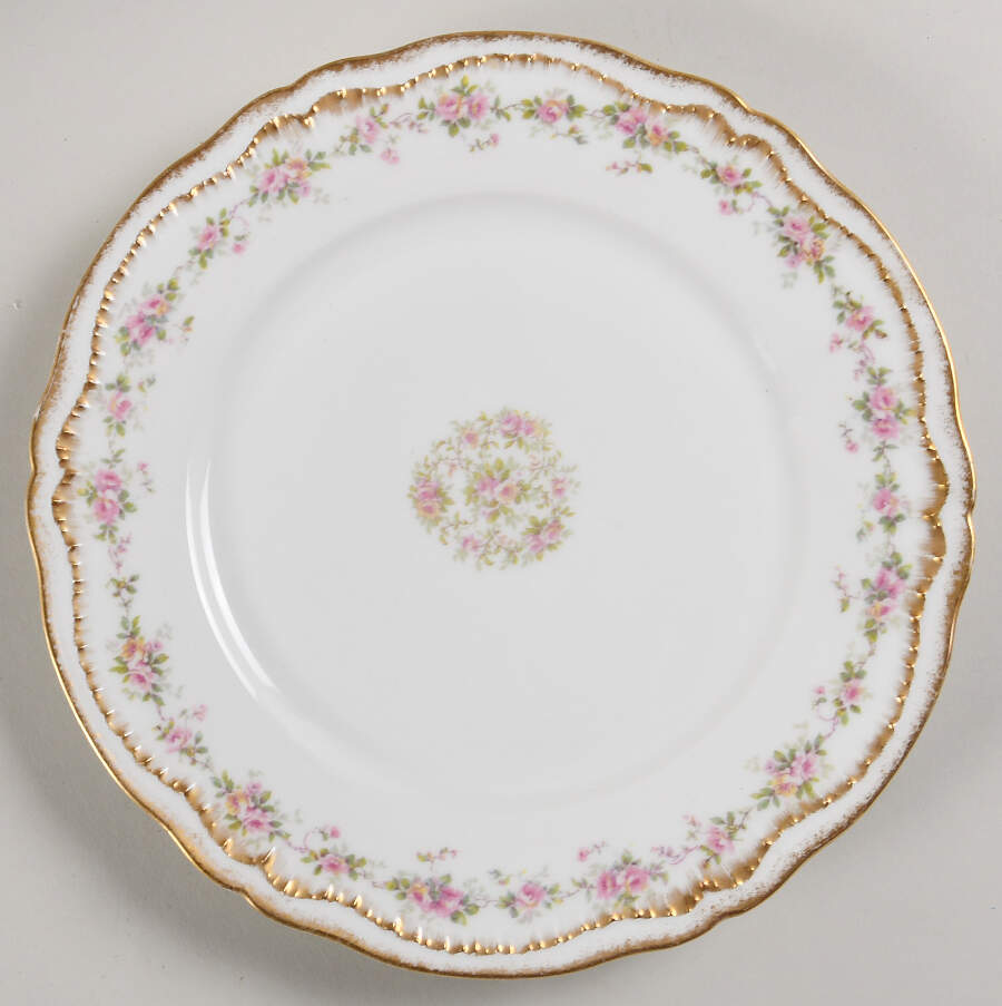 Schleiger 350-1 Dinner Plate by Haviland-1