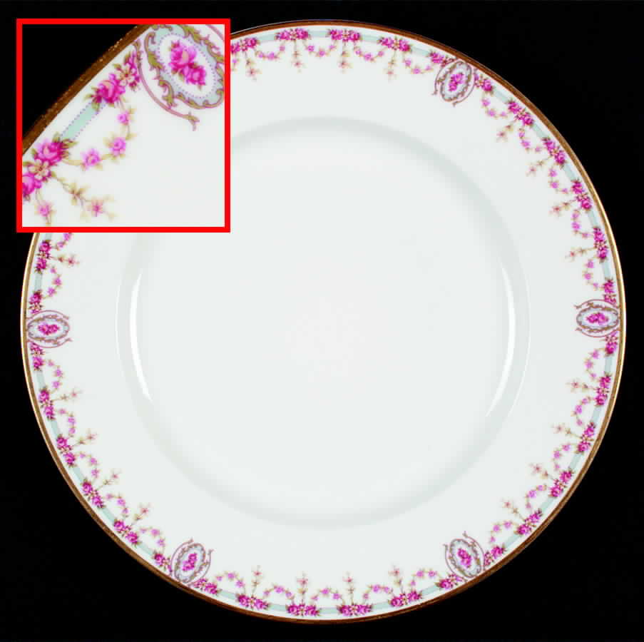 H2869 Dinner Plate by Haviland-1
