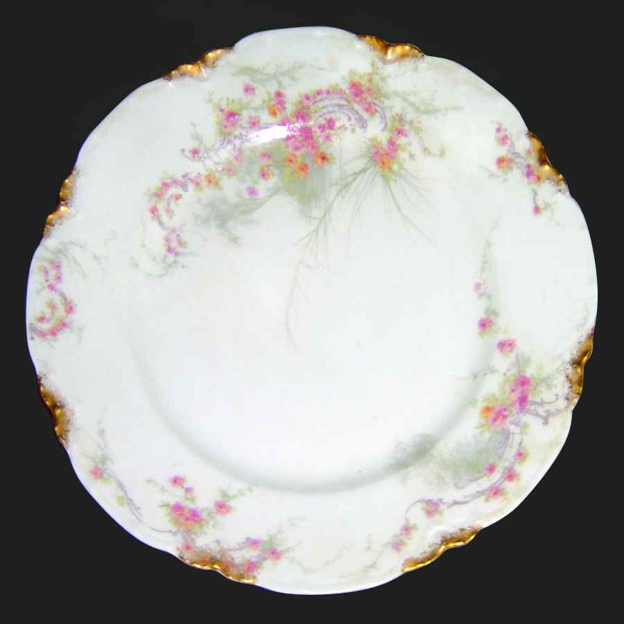 H2874 Dinner Plate by Haviland-1