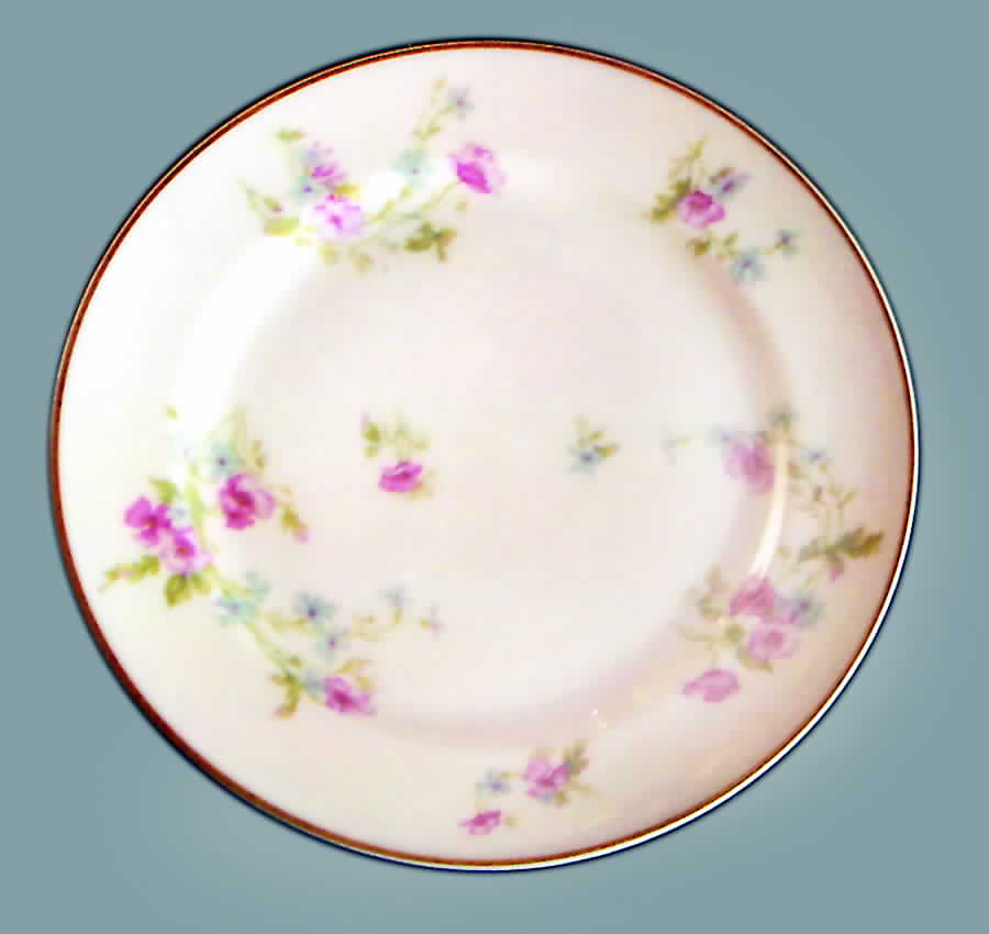 Schleiger 1168-4 Dinner Plate by Haviland-1