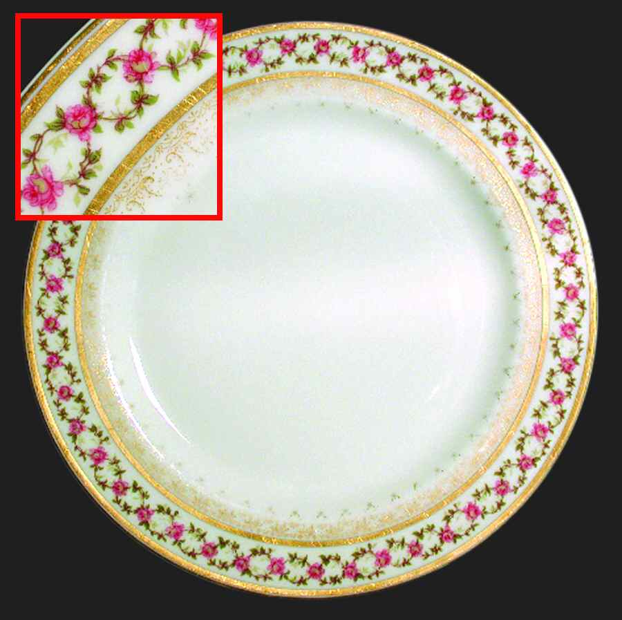 H2878 Dinner Plate by Haviland-1