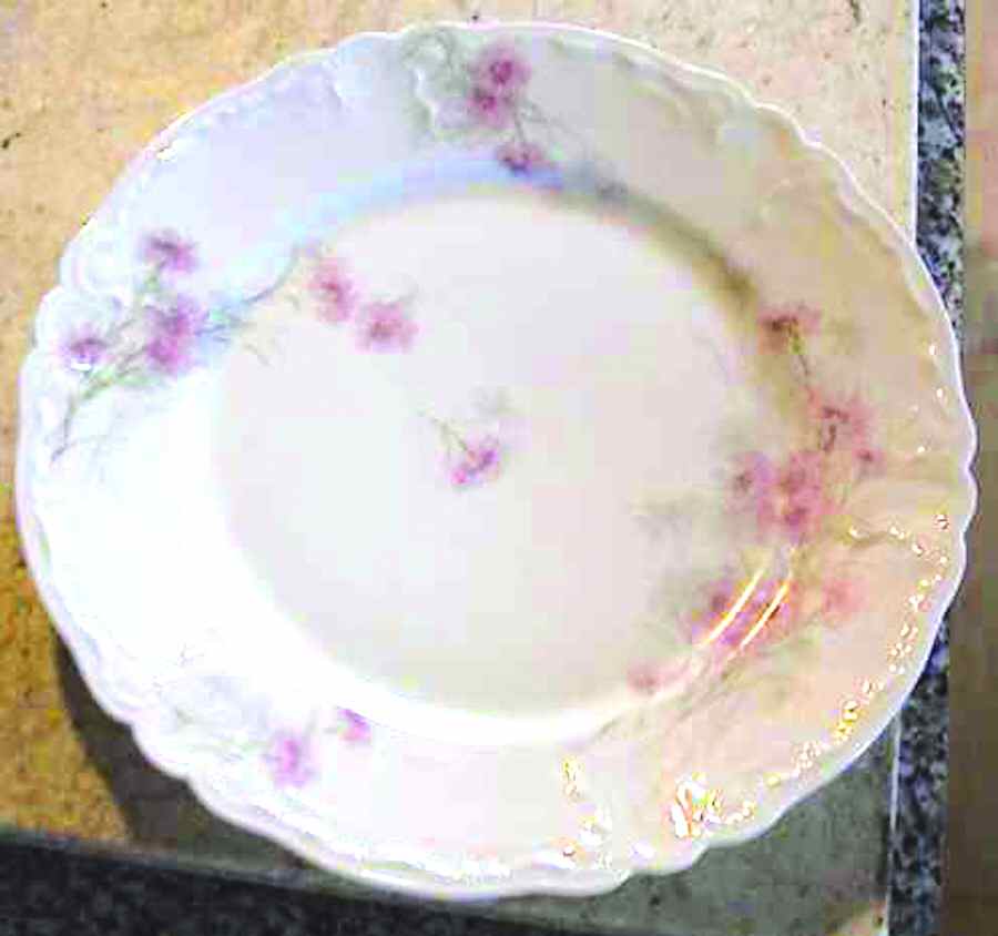 Schleiger 431-2 Dinner Plate by Haviland-1