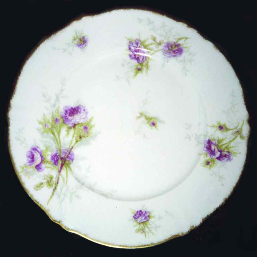 H2882 Dinner Plate by Haviland-1
