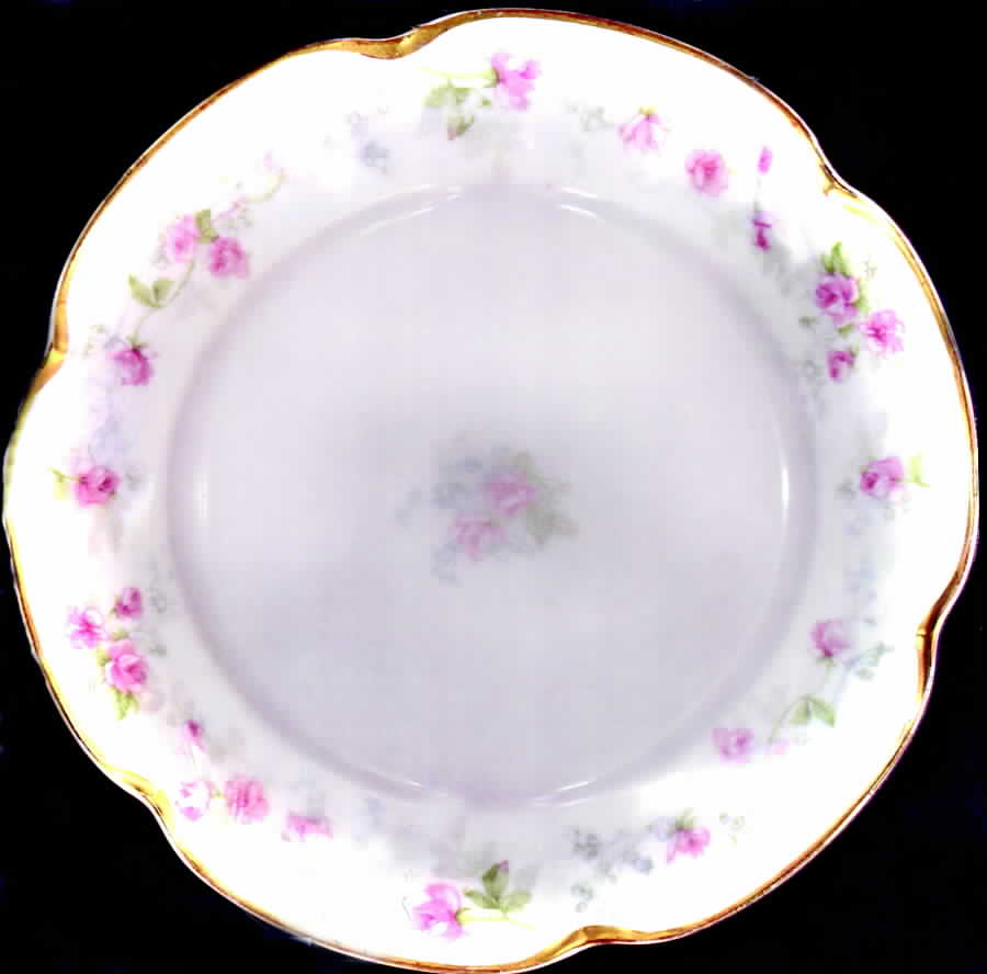 H2883 Luncheon Plate by Haviland-1
