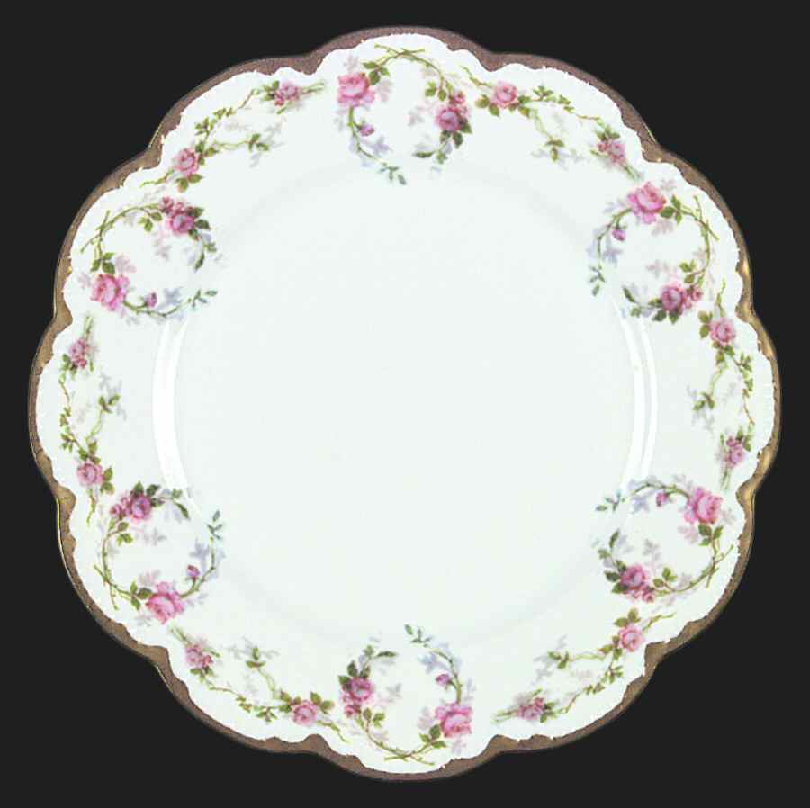 H2884 Dinner Plate by Haviland-1
