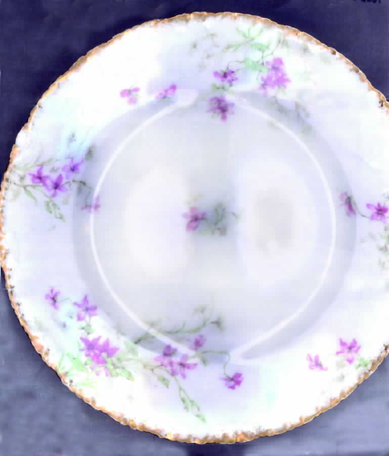 Schleiger 148-3 Luncheon Plate by Haviland-1