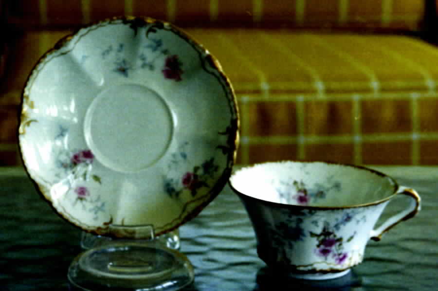 Schleiger 1033-1 Flat Cup & Saucer Set by Haviland-1