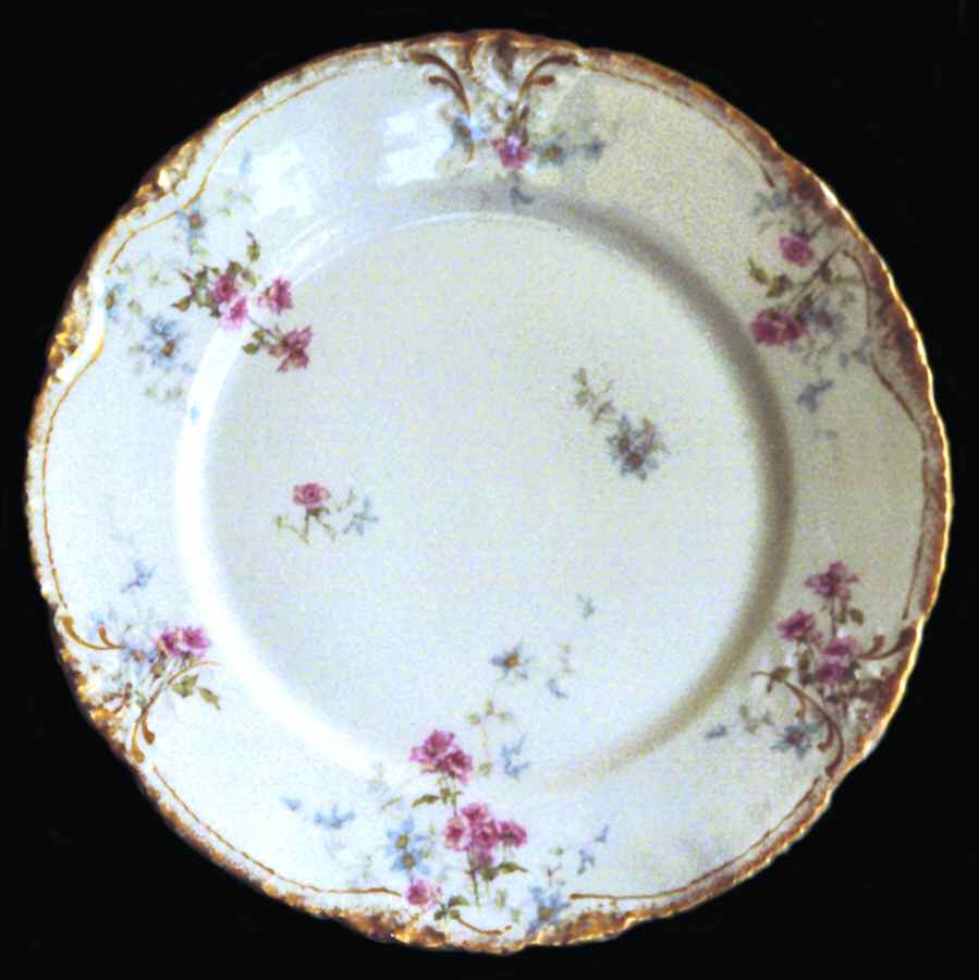 Schleiger 1033-1 Dinner Plate by Haviland-1