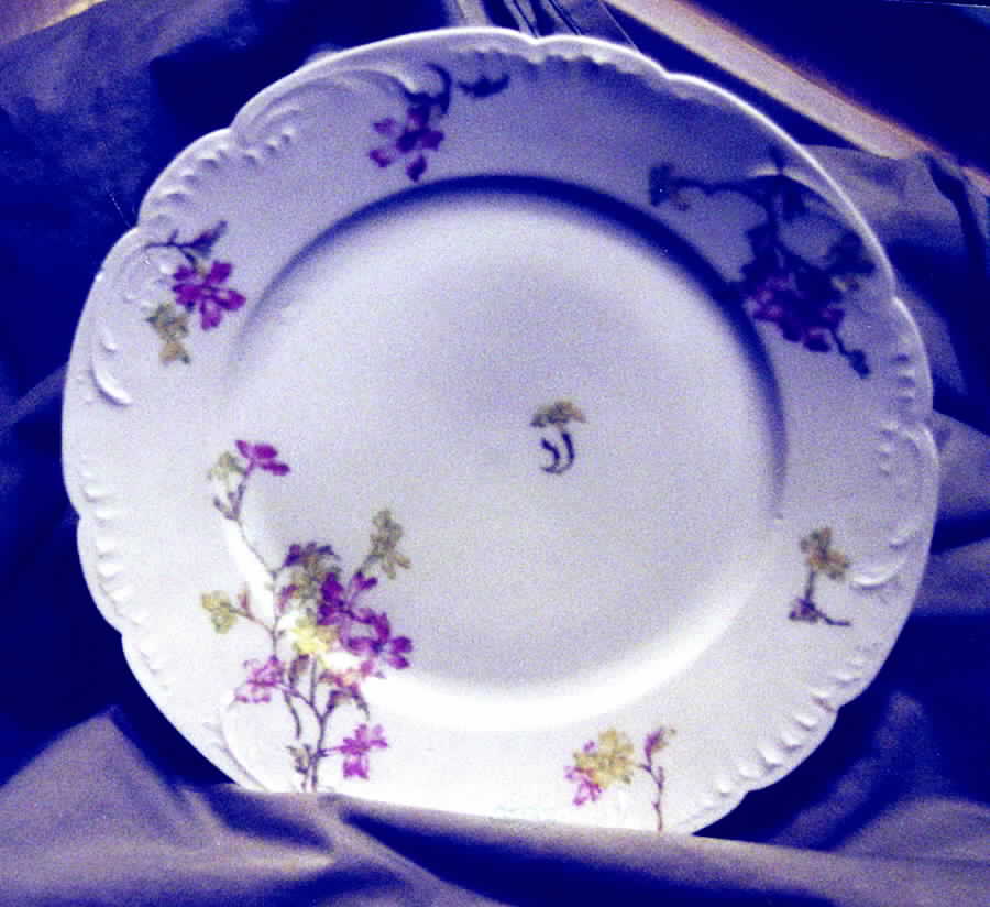 H2885 Dinner Plate by Haviland-1