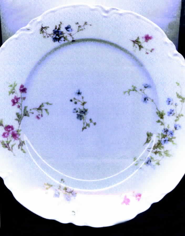 Schleiger 670-3 Dinner Plate by Haviland-1