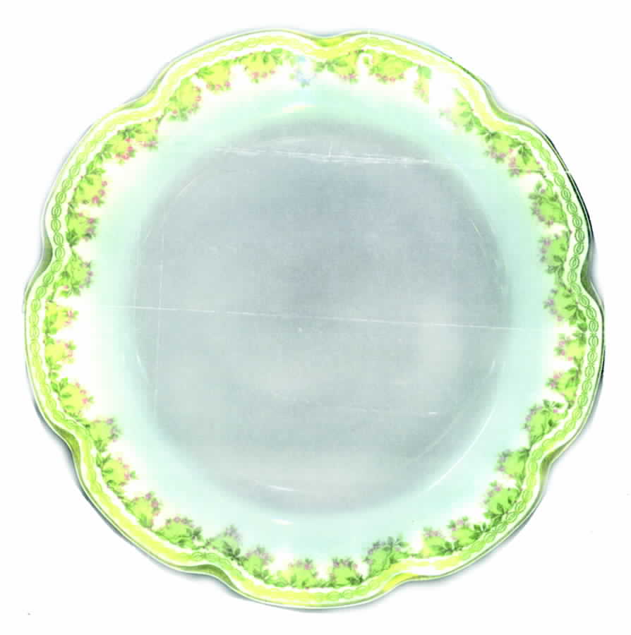 H2896 Dinner Plate by Haviland-1
