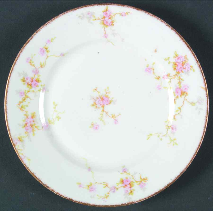 H2898 Bread & Butter Plate by Haviland-1