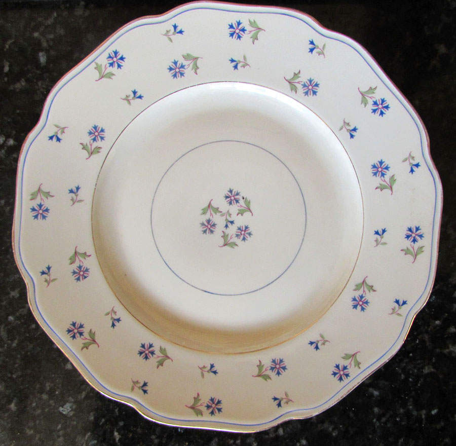 Clementine Dinner Plate by Haas-Czjzek Coronado-1