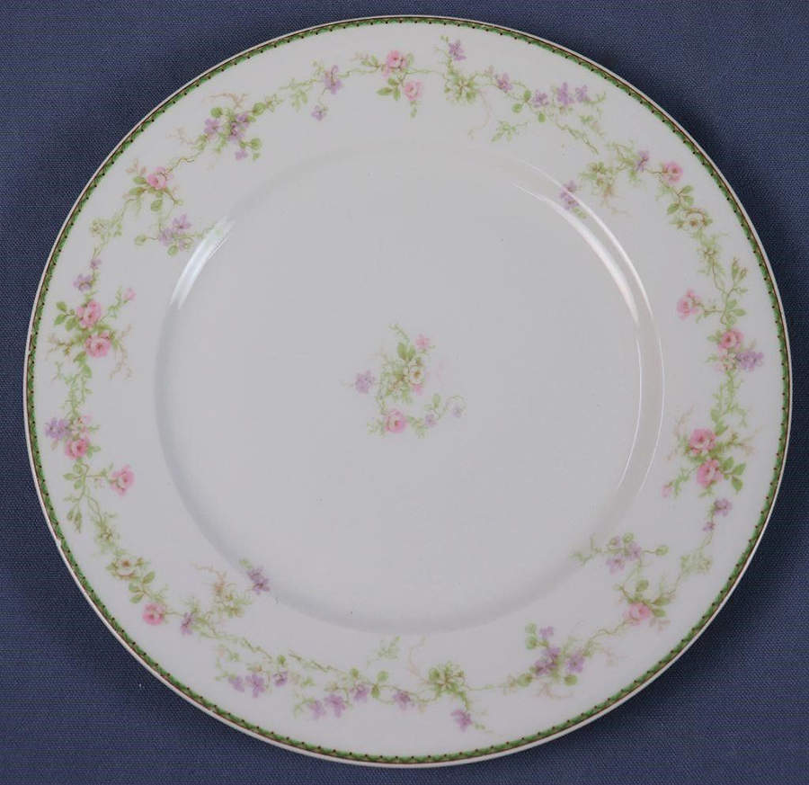 H2900 Dinner Plate by Haviland-1