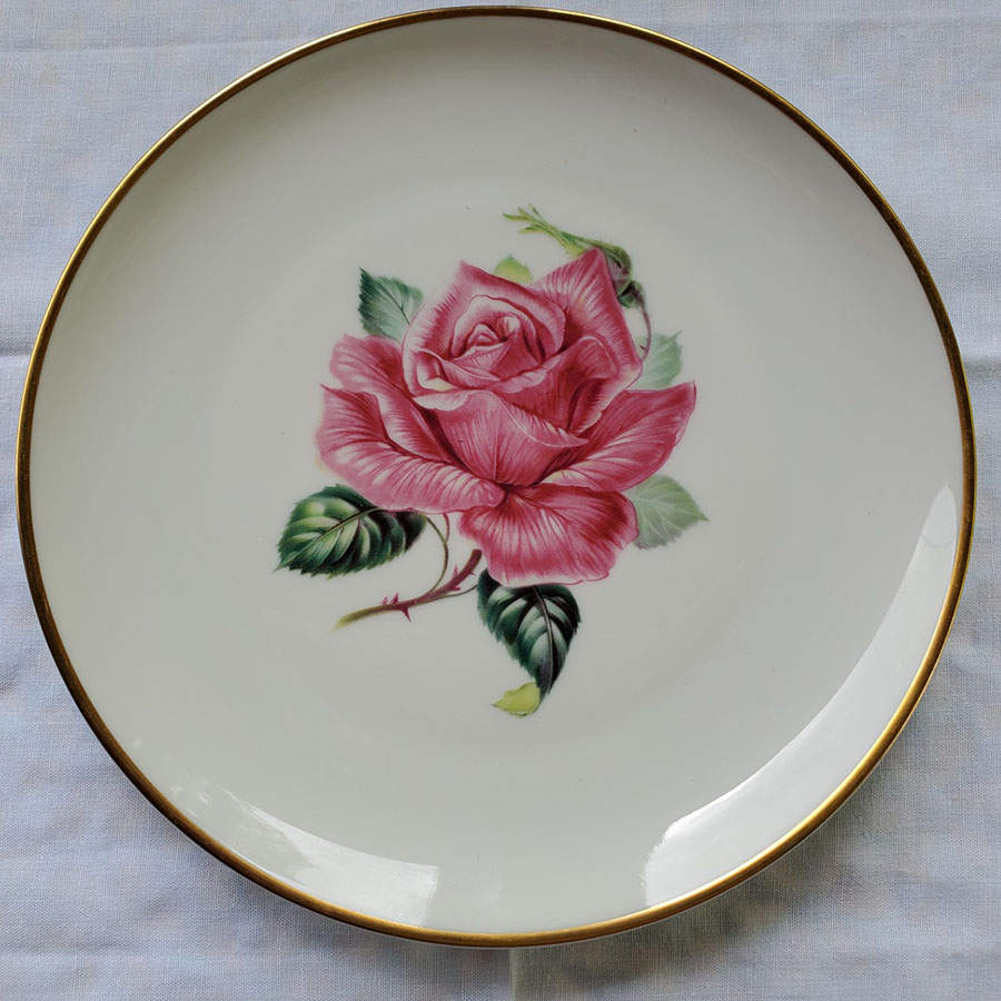 Picture Salad Plate by Heinrich - H&C-1