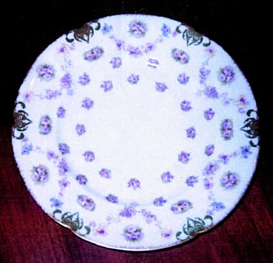 H2909 Dinner Plate by Haviland-1
