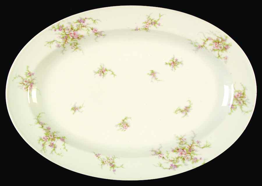 Schleiger 154A-1 (Cream) 17" Oval Serving Platter by Haviland-1