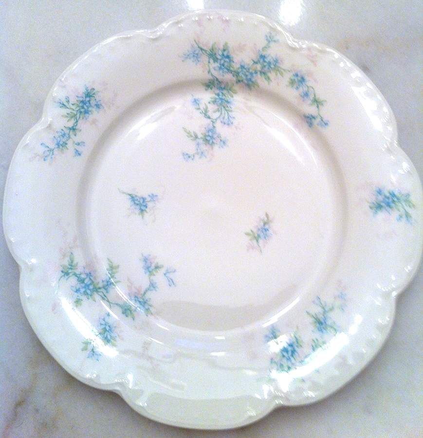 H2911 Dinner Plate by Haviland-1