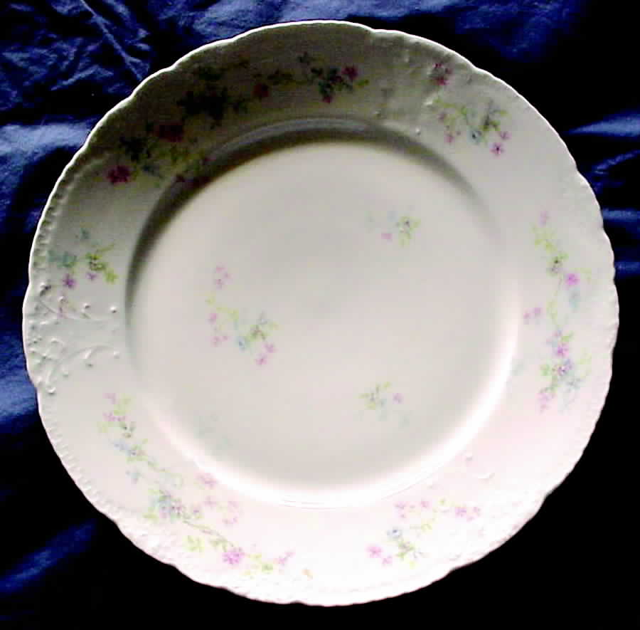H2915 Dinner Plate by Haviland-1