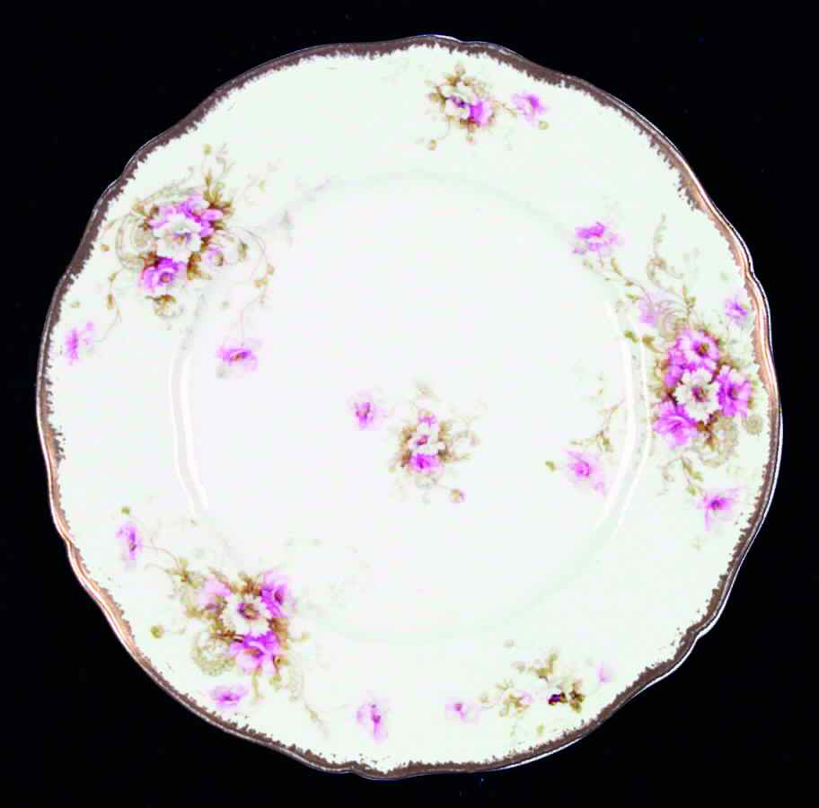 Schleiger 313-5 Dinner Plate by Haviland-1